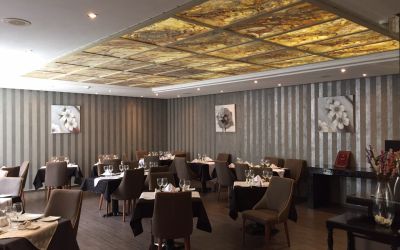 ISMERKEDÉS A TRANSLUCENT TERMÉKEKKEL 1. RÉSZ